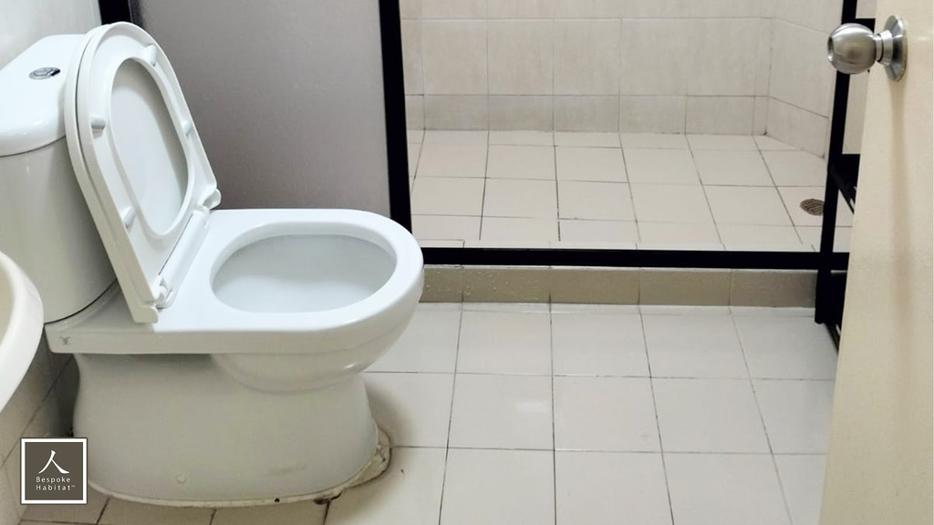 Common Bathroom 